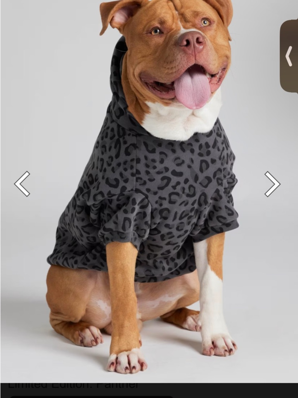 Comfrt Black Panther Paw Hoodie
